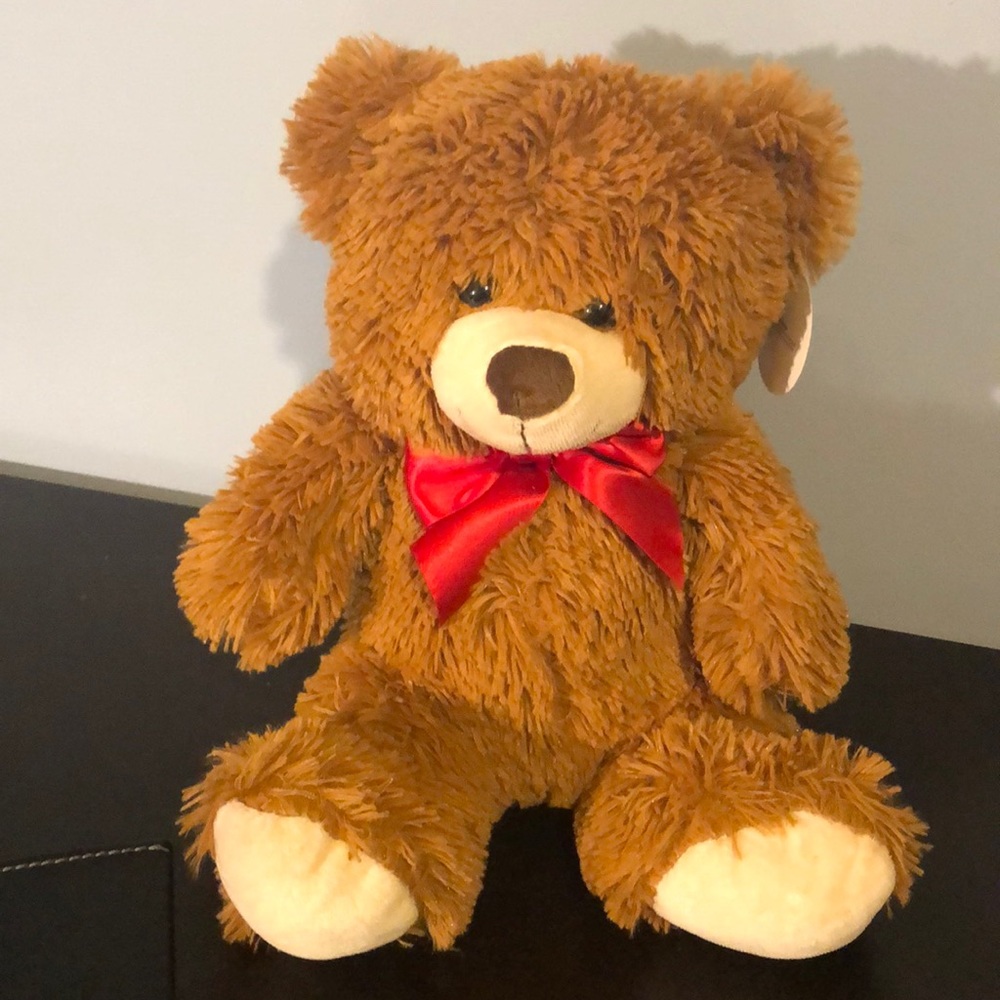 Sitting Bear